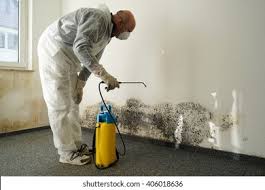 Professional Mold Remediation in South Gate Ridge, FL